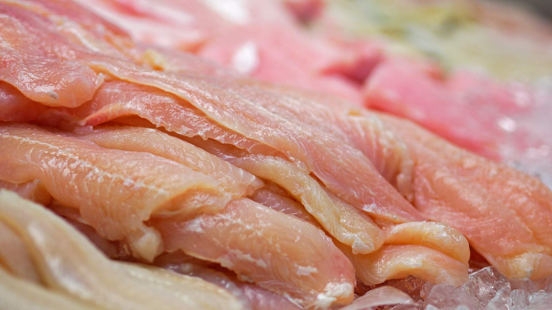 seafood market,seafood restaurant,cajun,cajun menu,fried fish,fish platter,fried oysters,sweet potato fries,softshell crabs,raw oysters,crab,lump crab,jumbo crab,cobia,redfish,salmon,flunder,drum,snapper,trout,flounder
