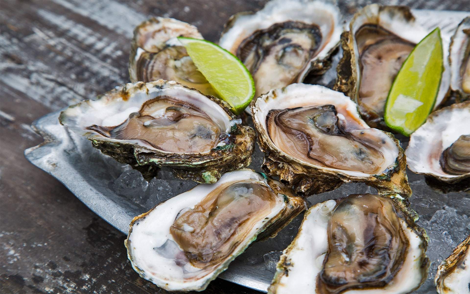 seafood market,seafood restaurant,cajun,cajun menu,fried fish,fish platter,fried oysters,sweet potato fries,softshell crabs,raw oysters,crab,lump crab,jumbo crab,cobia,redfish,salmon,flunder,drum,snapper,trout,flounder