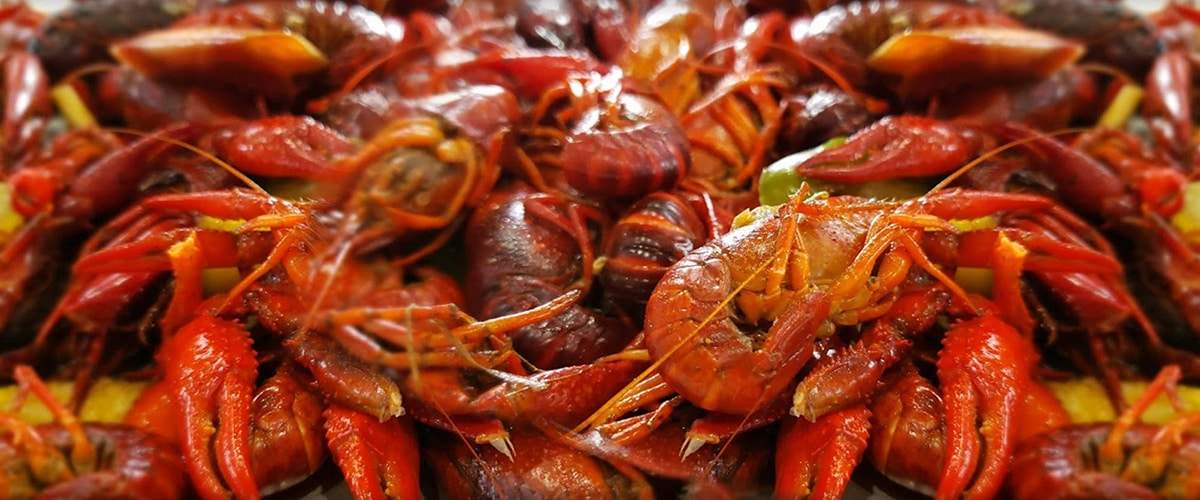 seafood market,seafood restaurant,cajun,cajun menu,fried fish,fish platter,fried oysters,sweet potato fries,softshell crabs,raw oysters,crab,lump crab,jumbo crab,cobia,redfish,salmon,flunder,drum,snapper,trout,flounder