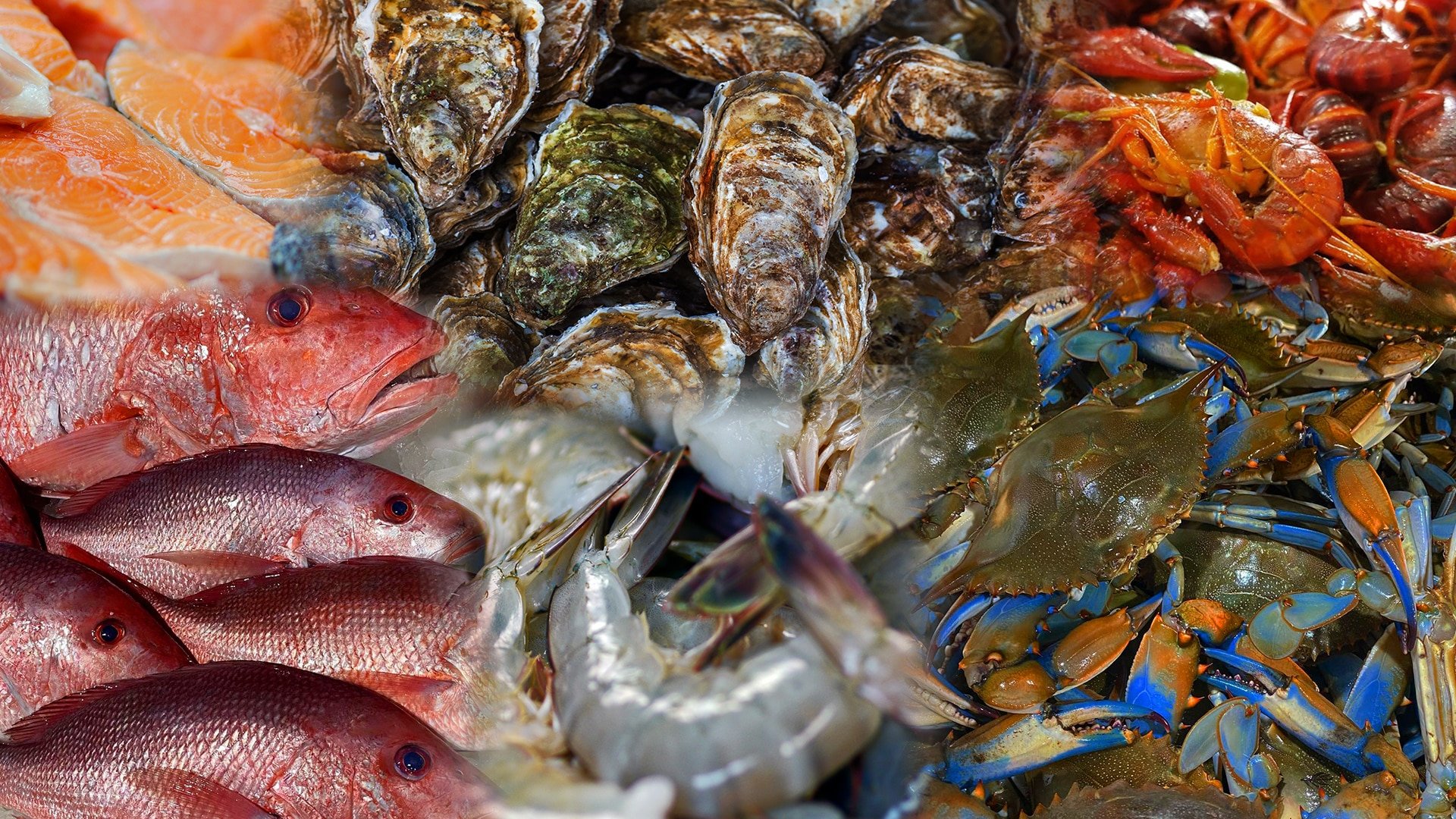 seafood market,seafood restaurant,cajun,cajun menu,fried fish,fish platter,fried oysters,sweet potato fries,softshell crabs,raw oysters,crab,lump crab,jumbo crab,cobia,redfish,salmon,flunder,drum,snapper,trout,flounder